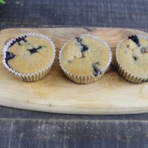 Vegan and Gluten Friendly Blueberry Muffins