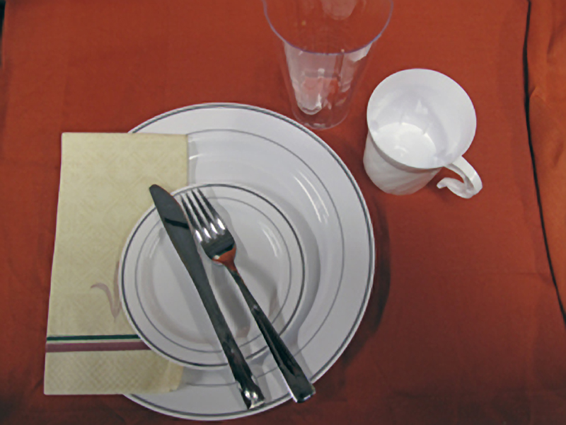 Disposable China