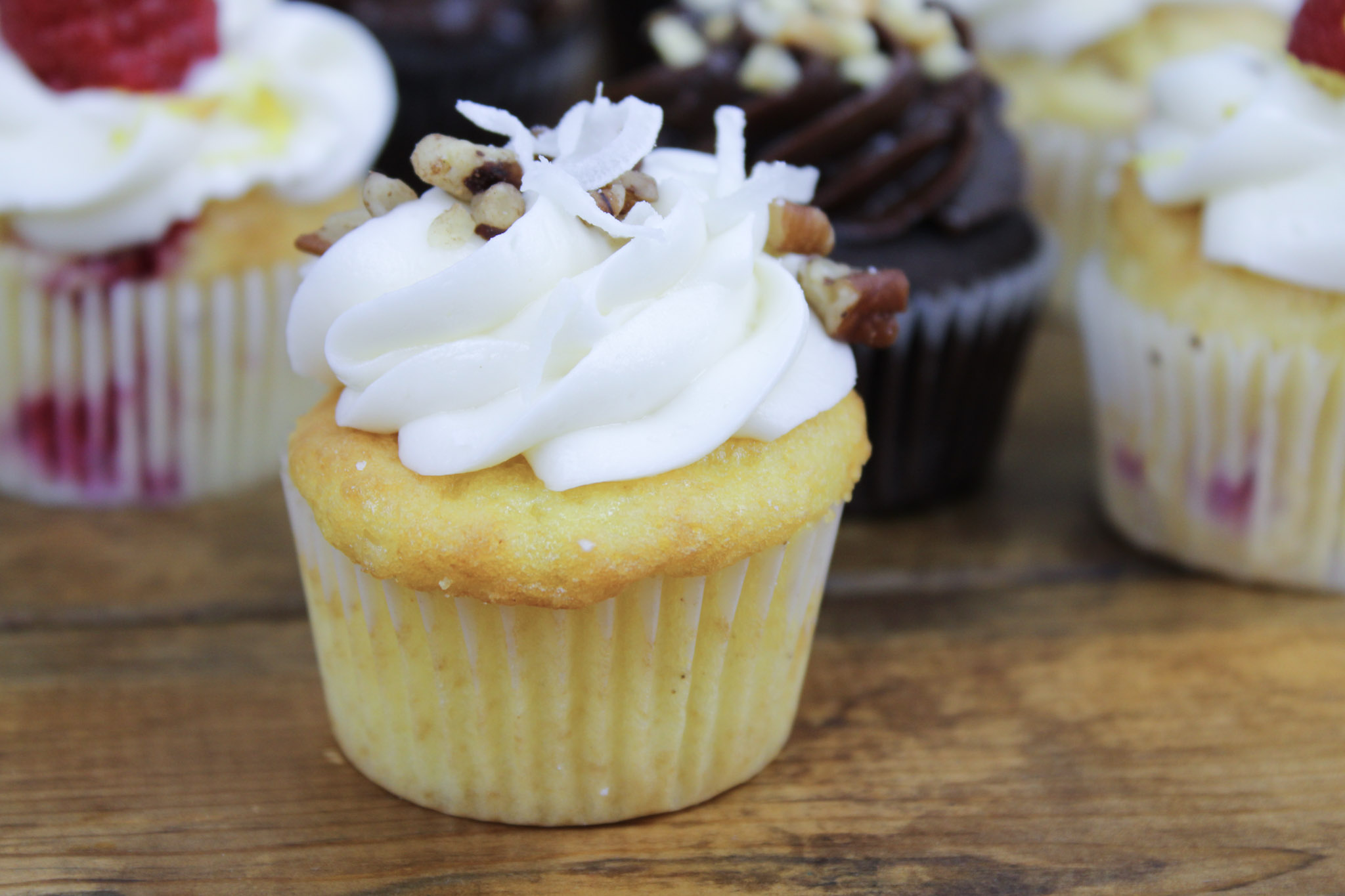 Mini Gourmet Cupcakes